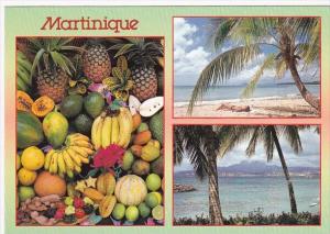 Martinique Plaisirs des Propiques