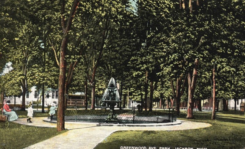 Vintage Postcard Greenwood Avenue Recreational Park Trees Jackson Michigan MI