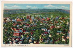 NY - Binghamton. Bird's Eye View