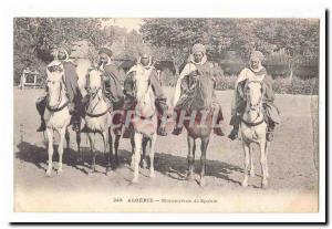 Algeria Old Postcard maneuvers Spahis (cavalry)