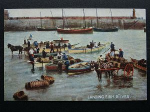 Cornwall ST. IVES Harbour Landing Fish c1906 Postcard by S. Hildesheimer & Co.