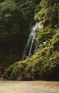 Vintage Postcard Beautiful Coca-Cola Falls El Yunque Mountain Peak Puerto Rico