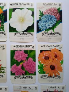 Vintage 1950's Flower Seed Packs EMPTY Lot 12 Petunia Poppy Moon African Daisy