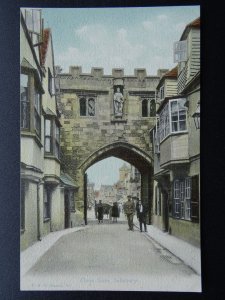 Wiltshire SALISBURY Close Gate Showing SOLDIER c1915 Postcard by F.G.O. Stuart