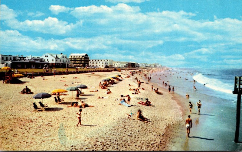 Virginia Virginia Beach Sunbathers Along The Beach