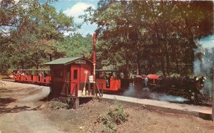 Postcard Wisconsin Dells Miniature Railroad 1950s Colorpicture 23-10280