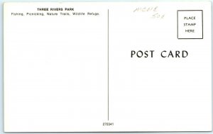 c1910s Waverly IA Greetings Postcard Three Rivers Park Inside Cedar Car Tree A46