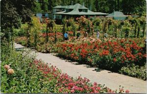 Butchart Gardens Victoria BC Rose Garden & Residence UNUSED Vintage Postcard D97