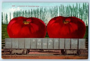 c1910s Exaggerated Tomatoes Carload From San Francisco CA Signed Artist Postcard