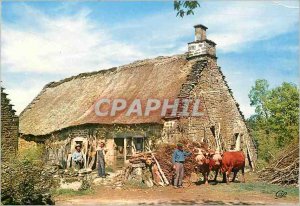 Postcard Modern Old thatch covered farm hitch B�ufs