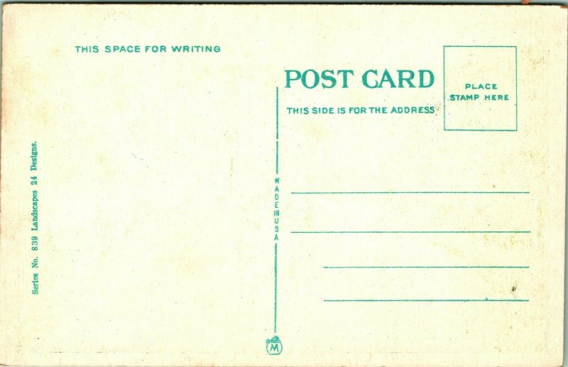 Generic Greetings From Rhinebeck NY New Yok UNP Unused 1920s WB Postcard