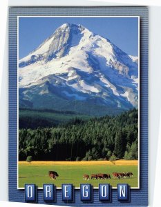 Postcard Mt. Hood Oregon USA