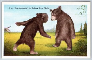 Alaska~Start Something The Fighting Bears Scene~HH Tammen Vintage Linen Postcard