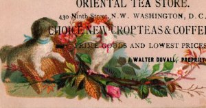 Oriental Tea Store Crop-Teas & Coffees Washington, D.C. Dog and Bird-Flowers P49