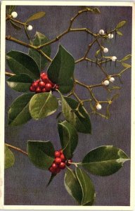 VINTAGE MISTLETOE ARTIST SIGNED SCHALLER IOWA POSTCARD 41-194