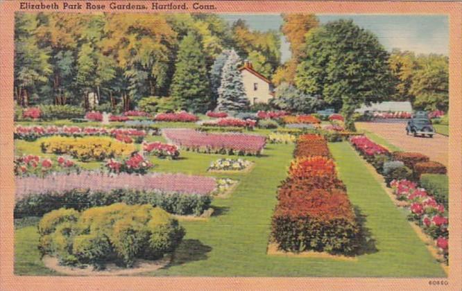 Connecticut Hartford Elizabeth Park Rose Gardens 1944