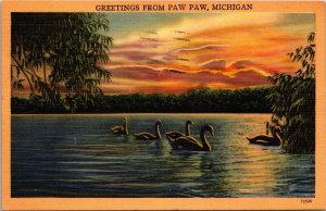 Vtg Scenic Greetings from Paw Paw Michigan MI Ducks Lake Sunset Linen Postcard