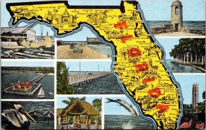 Florida Map With Multi View