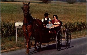 Pennsylvnia Amish Country Amish Family With Horse and Buggy