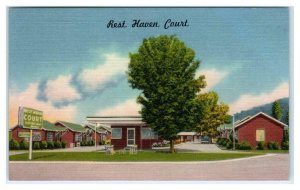 KNOXVILLE, TN ~ Roadside REST HAVEN COURT c1940s Linen Knox County  Postcard
