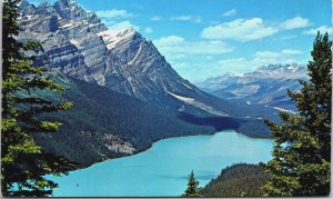 Canada Canadian Rockies Peyto Lake Banff AlbertaChrome Postcard C184