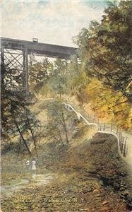 Jacob's Ladder, Watkins Glen, New York Vintage Postcard ca 1910s