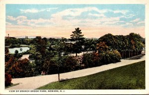 New Jersey Newark View Of Branch Brook Park 1920