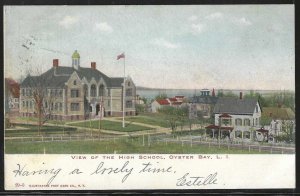 View of the High School, Oyster Bay, Long Island, N.Y., 1907 Postcard, Used