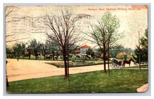 Vintage 1909 Postcard Famous Herd, National Military Home, Indiana