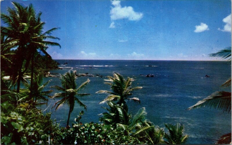 Trinidad Tobago Beach Scene Palms Postcard Mike Roberts VTG UNP Vintage Unused 