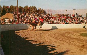 California National Date Festival Camel Race Columbia 1960s Postcard 22-1375