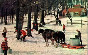 Snow Covered Wintery Scene Gathering Maple Sap Horses Workers Postcard Note WOB 