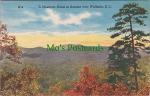 America Postcard - Walhalla, South Carolina - Mountain Scene in Autumn DC2473