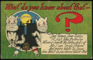What do you know about that? Cats. Vintage comic postcard