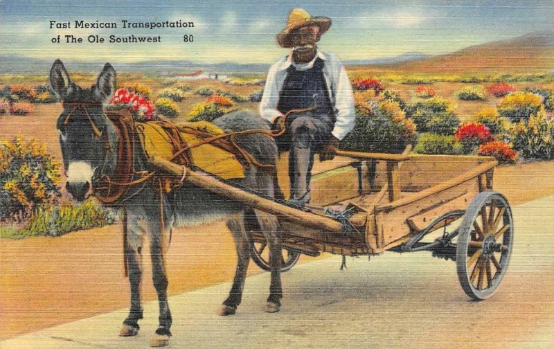 Fast Mexican Transportation of the Ole Southwest Burro c1940s Vintage Postcard