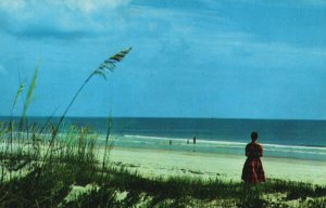 USA Fort Matanzas National Monument St. Augustine Florida Chrome Postcard 08.94