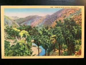 Vintage Postcard 1931 View of Palm Canyon California (CA)