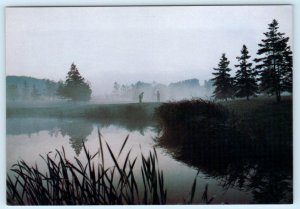 GRAND TRAVERSE RESORT VILLAGE, Michigan MI ~ GOLF COURSE  4x6  Postcard
