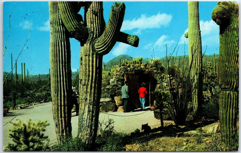 VINTAGE POSTCARD UNDERGROUND TUNNEL ENTRANCE AT SONORA ARIZONA MUSEUM 1966