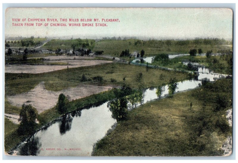 c1910 View of Chippewa River Below Mt. Pleasant Antique Unposted Postcard
