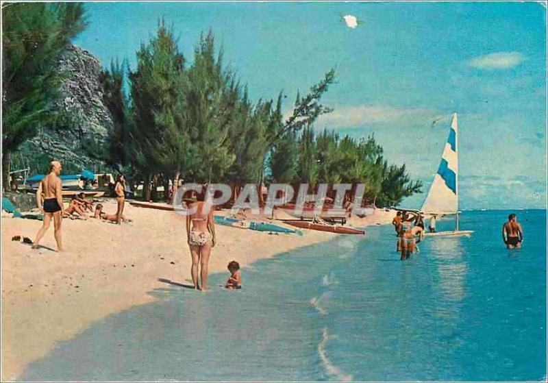  Modern Postcard Mauritius the Dull Beach