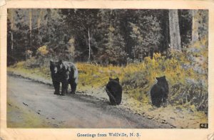 Bear Greetings Wolfville, NS Bear 1941 Missing Stamp 