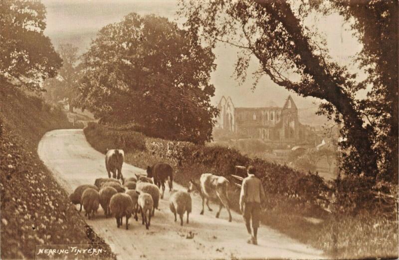 NEARING TINTERN WALES-W A CALL CAMBRIA PHOTO POSTCARD