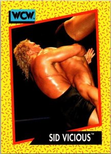 1991 WCW Wrestling Card Sid Vicious sk21129