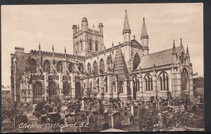 Cheshire Postcard - Chester Cathedral, South East View  DR327