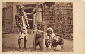 A Bhalu Wallah Performing Bears View Images