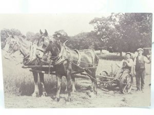 Pair of Shire Horses With Farmhands about to Plough a Field Vtg Repro Postcard