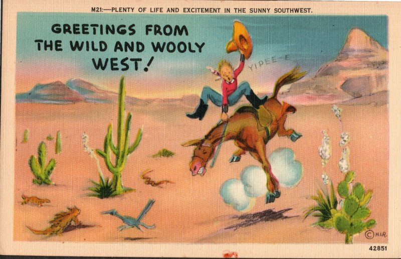 5 Linen Comic Cards, A Western Theme, Vivid Color circa 1940-1960, Postcards