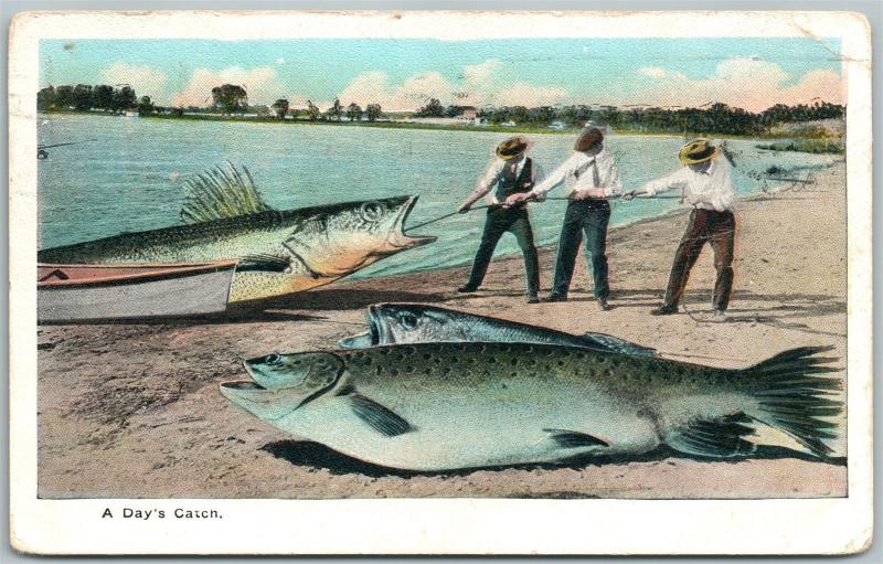 LOT OF VINTAGE POSTCARDS INCLUDING FISHING & MORE