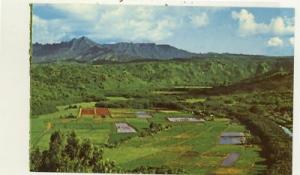 HANALEI HI HAWAII VALLEY Postcard